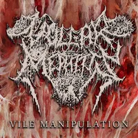 Vile Manipulation - Vulgar Mephitis