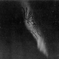 Viscerialis - Viscerialis