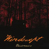 Visionaire - Windswept
