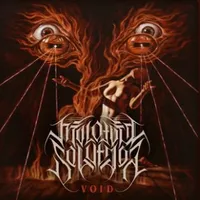 Void - Molotov Solution