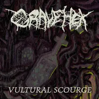 Vultural Scourge - Grave Hex