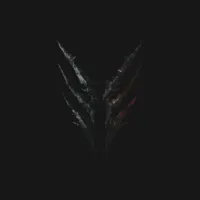 Vultures of North - Orbit Culture