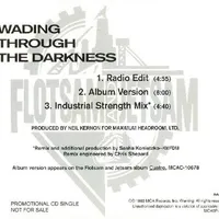 Wading Through the Darkness - Flotsam and Jetsam
