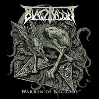 Warren of Necrosis - Black Rabbit