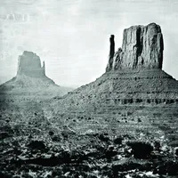 We Shouldn't Be Here b​/​w Façade of Niceity - The Grasshopper Lies Heavy