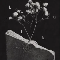 We Spare Nothing - Kulk