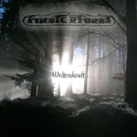 Weltenkraft - Finsterforst
