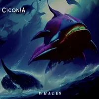Whales - Ciconia