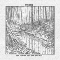 What Remains When Hope Has Failed - Nemorous