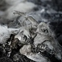 When Death Comes - Aphonic Threnody