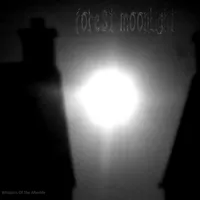 Whispers Of The Afterlife - Forest Moonlight