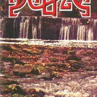 Will of Gods Is a Great Power - Scald