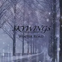 Winter Road - Skywings