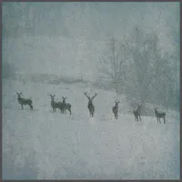Winterstille - Rauhnåcht
