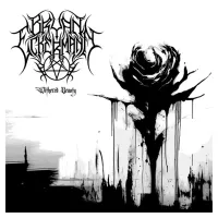 Withered Beauty - Bryan Eckermann