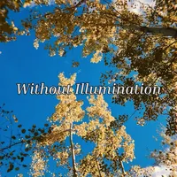 Without Illumination - Aspen Sanctum