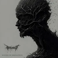 Woods of Desolation - Boötes Void
