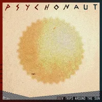 XXIV Trips Around the Sun - Psychonaut