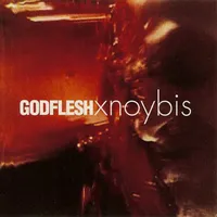 Xnoybis - Godflesh
