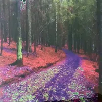 Ylösnousemus - Valtakunta