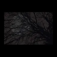 Yön kuningatar - Einvigi