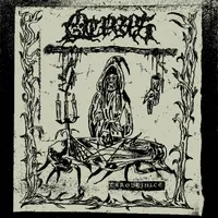 Čarodejnice - Otras