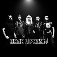 Воля и разум - Воля и Разум
