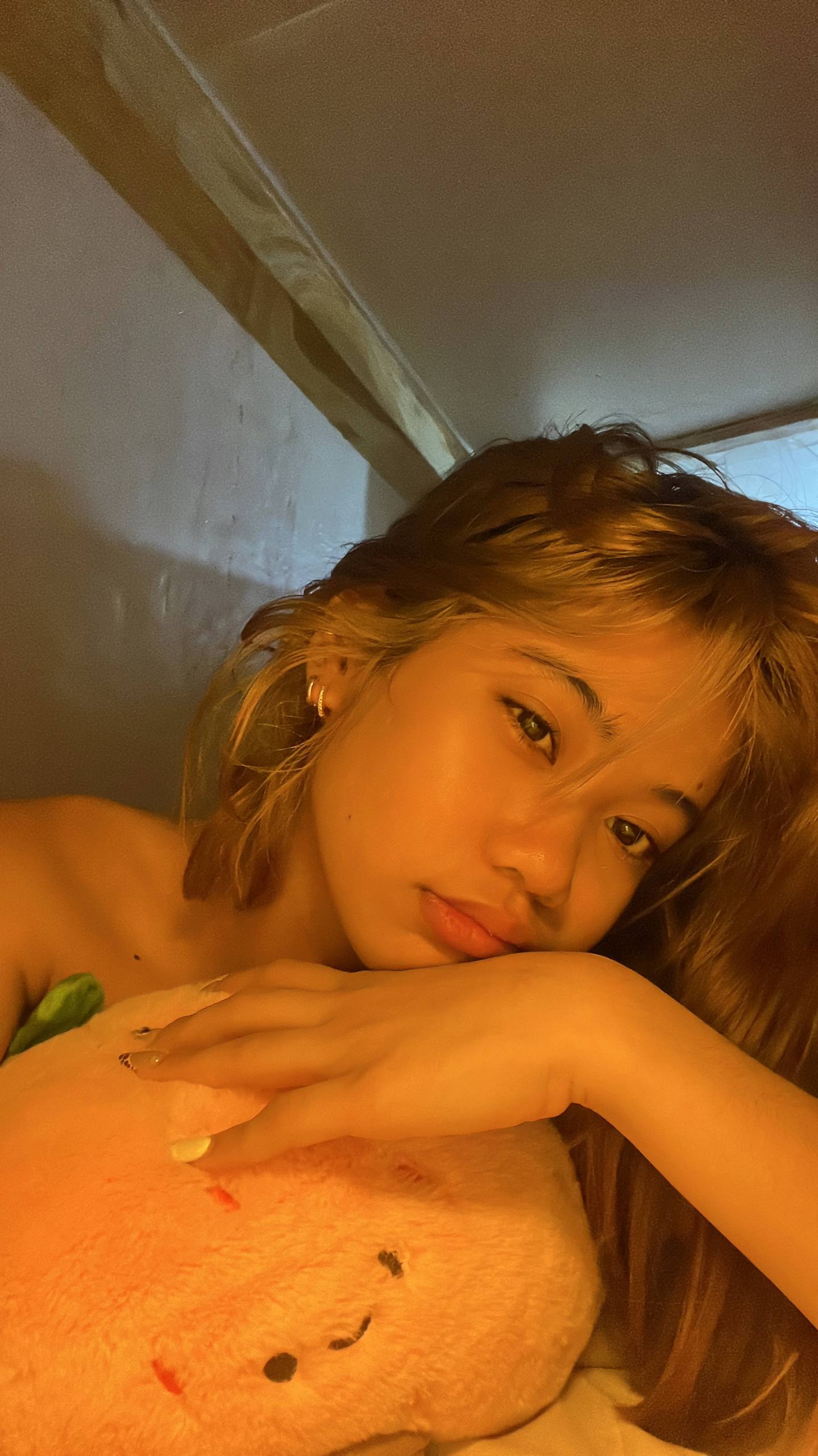 @msxvelvet