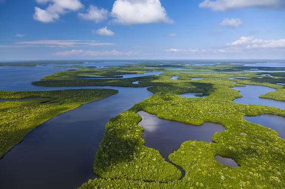 Wetlands Milestone: UN Report Highlights Three-Decade High in Everglades Restoration Success