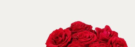 Hẹn hò online - Hình cover của Thu Hoang