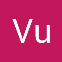 Avatar of user - Vu Luu