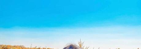 Hẹn hò online - Hình cover của Huyền Trần