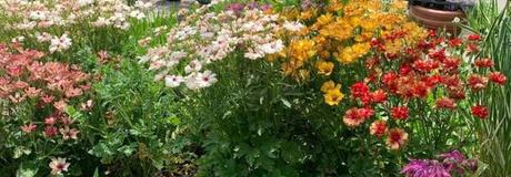 Hẹn hò online - Hình cover của Thu Trang