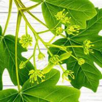 Avatar of user - Hoàng Nam