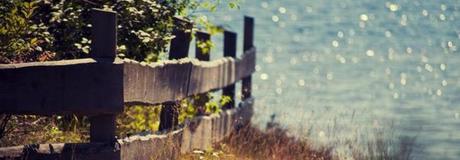 Hẹn hò online - Hình cover của Lý Nam