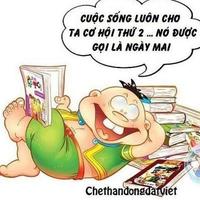 Avatar of user - Cuộc Sống Vui