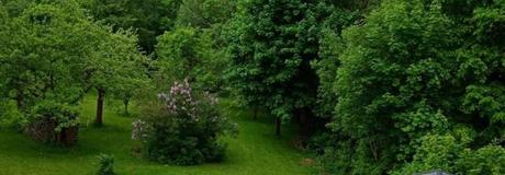 Hẹn hò online - Hình cover của Ngocthuy