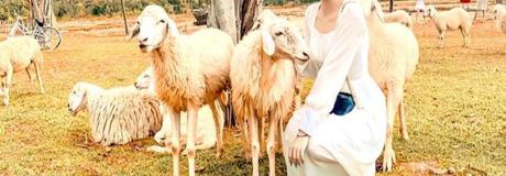 Hẹn hò online - Hình cover của Kelly Quỳnh