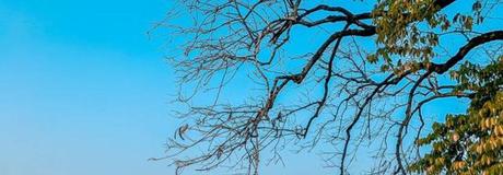 Hẹn hò online - Hình cover của Trần Mai Anh