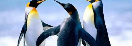 Hẹn hò online - Hình cover của VÕ HỒng QuỐc