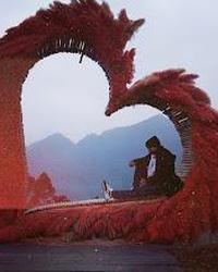 Thumbnail 11.jpg