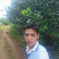 Avatar of user - Hp