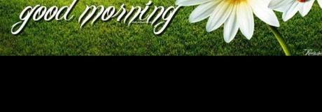 Hẹn hò online - Hình cover của Tuệ Dương