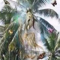 Avatar of user - Ngà Võ