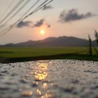 Avatar of user - Thanh Tánh