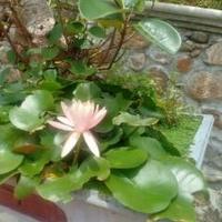 Avatar of user - Ken