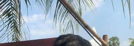 Hẹn hò online - Hình cover của Thai Danh