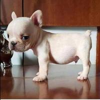 Avatar of user - Nguyễn Hoàng