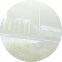 Avatar of user - Ngoc Kim