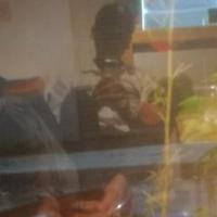 Avatar of user - Huy